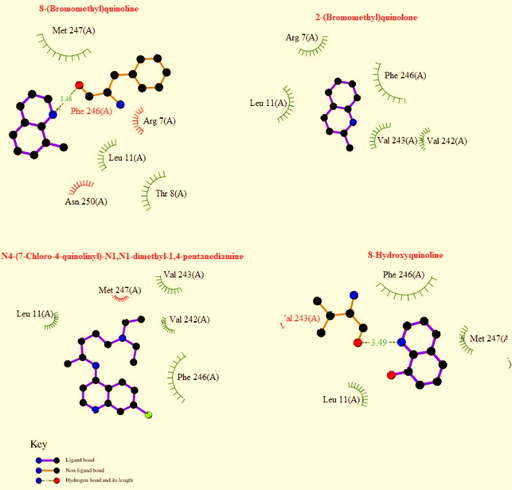 Evaluation of Interaction of Some Quinolone Derivatives on RSK-4 Using a Theoretical Model