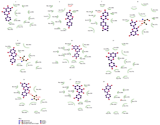 Interaction of Some Flavonoids Analogs with Sphingosine Kinase-1 as a Therapeutic Alternative to Treat Cancer
