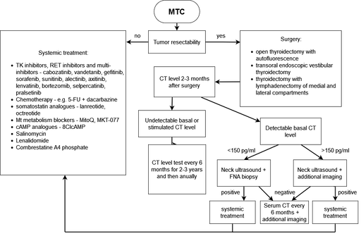 Advances in Diagnostics and Therapy of Medullary Thyroid Carcinoma (MTC)&ndash; A Mini-Review