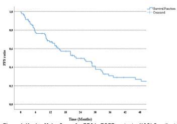 Outcomes and Prognostic Factors in Patients with EGFR Mutant Metastatic Non-Small Cell Lung Cancer Who Treated with Erlotinib